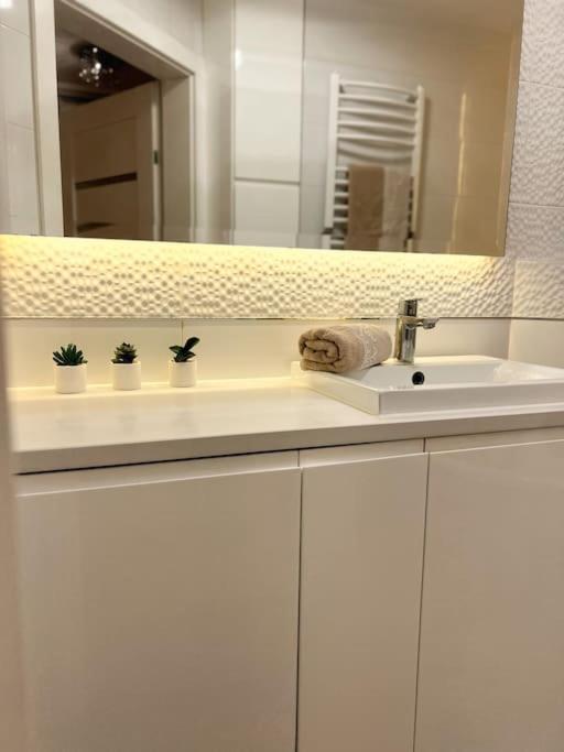 Apartament Zamojski Mlynska Замостя Екстер'єр фото