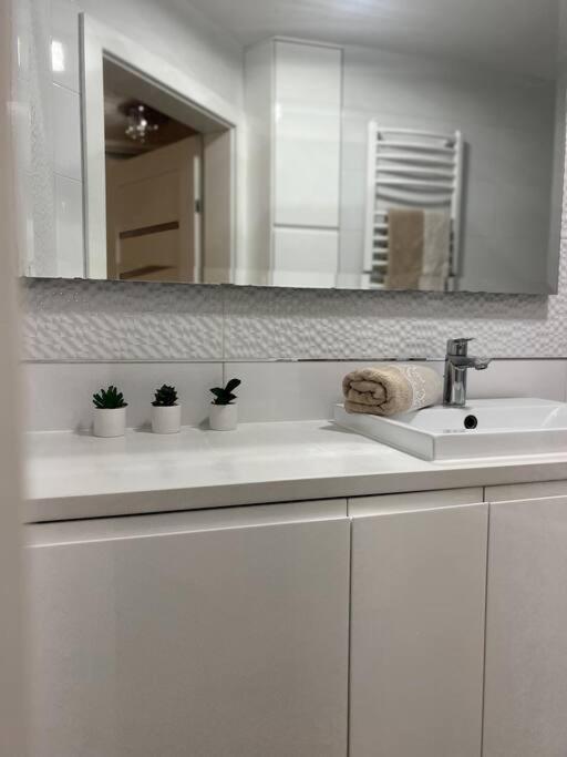 Apartament Zamojski Mlynska Замостя Екстер'єр фото